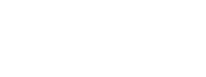 BSV logo 03 (004) copy