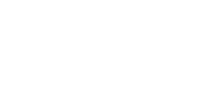 BigID logo