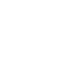 CARE Hospitals logo