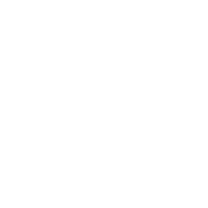 DFM Foods logo