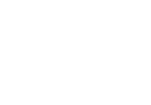 Deutek logo