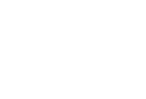 Distribution International logo