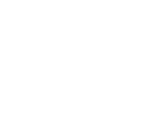 Dollar Express logo