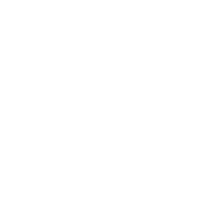 EKO Holding logo