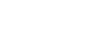 Fortbras Group logo