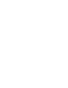 Gayosso logo