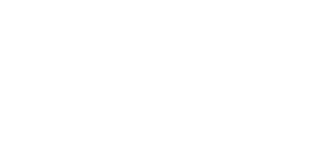 Latin American Airport Holdings logo