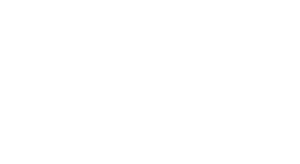 Pemco International logo