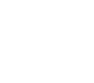 Speedy-Tech Electronics logo