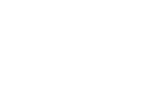 Telik logo