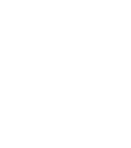 Universal Assistance