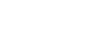 Vinnolit logo