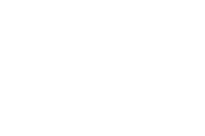 Wiz logo